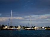 Cayman Island Photo