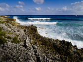 Cayman Island Photo