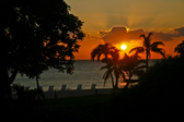 Cayman Island Photo