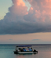 Cayman Island Photo